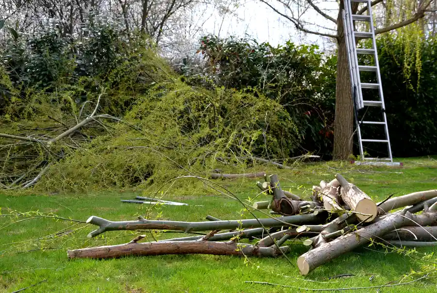Land Clearing And Site Safety In Demolition Projects in Smiths Station, AL Land Clearing And Site Safety In Demolition Projects in Smiths Station, AL
