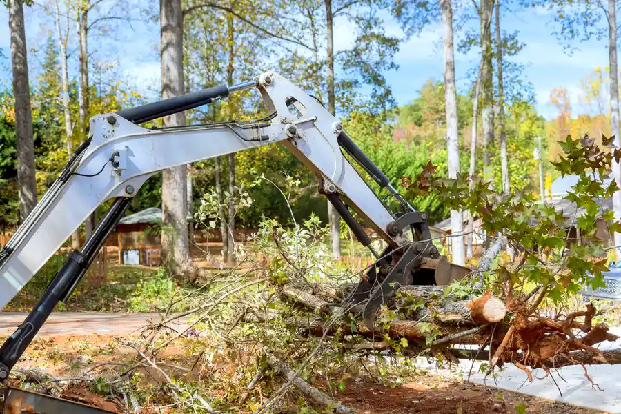 Local Land Clearing Smiths Station, AL Local Land Clearing Smiths Station, AL